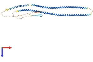 GFAP Protein (AA 1-430) (His tag)