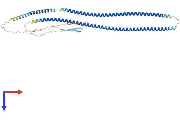 GFAP Protein (AA 1-430) (His tag)