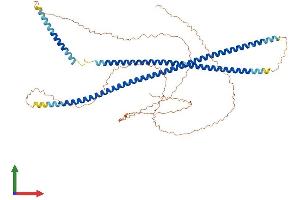 AlphaFold protein structure predicition of Human Recombinant KRT9 Protein, UniprotID P35527