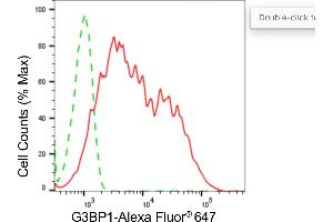 Flow cytometric analysis of G3BP1 expression in HepG2 cells using G3BP1 antibody (ABIN7798815), 1:2,000). (Rekombinanter G3BP1 Antikörper)