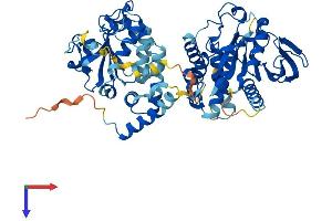 PTPN9 Protein (AA 1-593) (His tag)