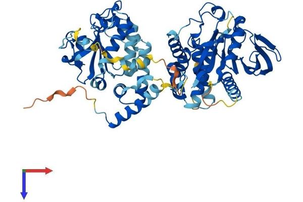 PTPN9 Protein (AA 1-593) (His tag)