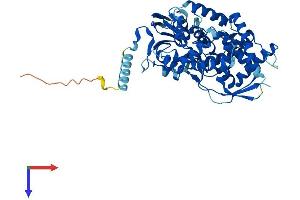 CYP7B1 Protein (AA 1-506) (His tag)