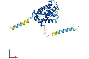 Protein Structure (PS) image for BCL2-Related Ovarian Killer (BOK) (AA 1-213) protein (His tag) (ABIN7562316)
