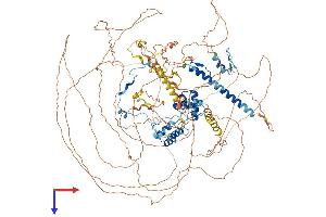 TRERF1 Protein (AA 1-1200) (His tag)