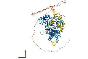 AlphaFold protein structure predicition of Mouse Recombinant Nlrp10 Protein, UniprotID Q8CCN1