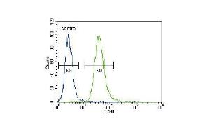 TNFR- Antibody (ABIN655093 and ABIN2844728) flow cytometric analysis of A549 cells (right histogram) compared to a negative control cell (left histogram). (TNFR-S274 (AA 252-281) Antikörper)