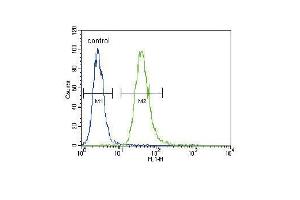 TNFR- Antibody (ABIN655093 and ABIN2844728) flow cytometric analysis of A549 cells (right histogram) compared to a negative control cell (left histogram). (TNFR-S274 (AA 252-281) Antikörper)