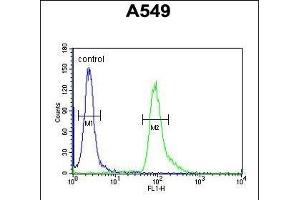 ABHD12 Antibody (N-term) (ABIN652851 and ABIN2842551) flow cytometric analysis of A549 cells (right histogram) compared to a negative control cell (left histogram).