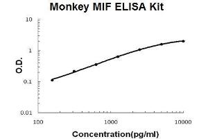 Monkey Primate MIF PicoKine ELISA Kit standard curve