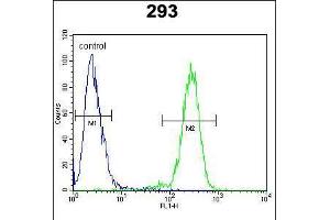 Flow cytometric analysis of 293 cells (right histogram) compared to a negative control cell (left histogram). (alpha-Mannosidase II Antikörper  (AA 456-482))