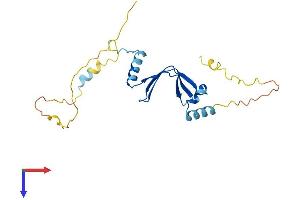 BTF3 Protein (AA 1-206) (His tag)
