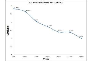Antigen: 0. (HPV16 E7 Antikörper  (Middle Region))