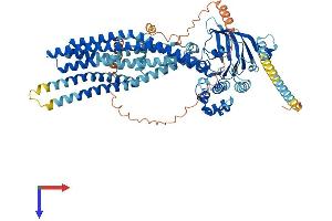 ABCB7 Protein (AA 1-752) (His tag)