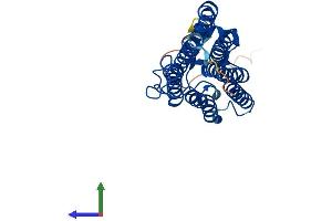 AlphaFold protein structure predicition of Human Recombinant PAQR3 Protein, UniprotID Q6TCH7