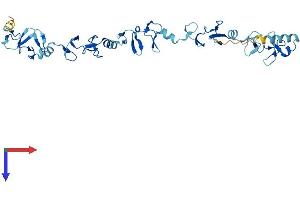 LIMS2 Protein (AA 1-341) (His tag)