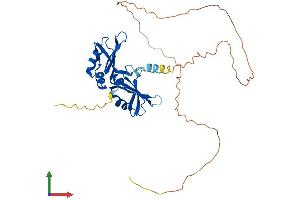 Protein Structure (PS) image for Heterogeneous Nuclear Ribonucleoprotein A2/B1 (HNRNPA2B1) (AA 1-353) protein (His tag) (ABIN7555268)