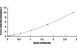 Typical standard curve (SLC38A1 ELISA Kit)