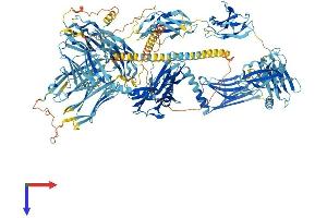 MYOM2 Protein (AA 1-1465) (His tag)