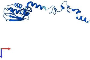 MRPS25 Protein (AA 1-171) (His tag)