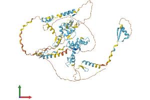 AlphaFold protein structure predicition of Human Recombinant ZNF526 Protein, UniprotID Q8TF50