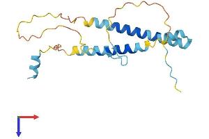 ITGB3BP Protein (AA 1-177) (His tag)