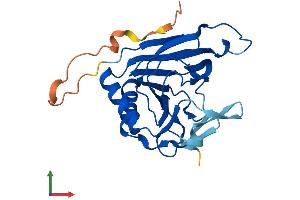 Protein Structure (PS) image for AlkB, Alkylation Repair Homolog 2 (ALKBH2) (AA 1-239) protein (His tag) (ABIN7558004)