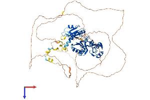 RAVER2 Protein (AA 1-673) (His tag)