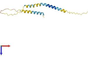 BEX2 Protein (AA 1-128) (His tag)