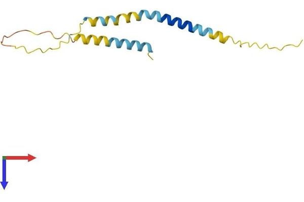 BEX2 Protein (AA 1-128) (His tag)