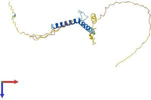 TCF23 Protein (AA 1-214) (His tag)