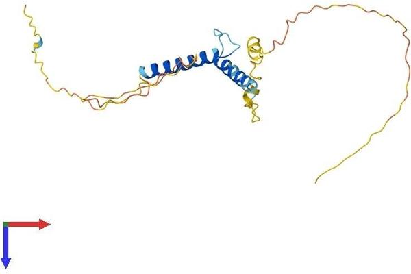 TCF23 Protein (AA 1-214) (His tag)