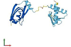 GEMIN6 Protein (AA 1-167) (His tag)