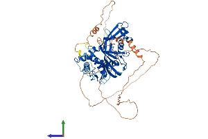 AlphaFold protein structure predicition of Mouse Recombinant Usp17la Protein, UniprotID Q61068 (Usp17la Protein (AA 1-526) (His tag))