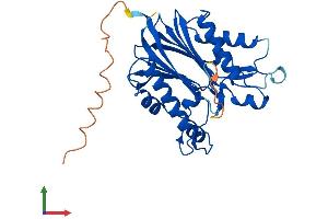 AlphaFold protein structure predicition of Human Recombinant PPTC7 Protein, UniprotID Q8NI37