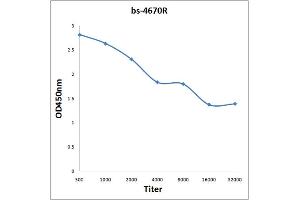 PILRB Antikörper  (AA 51-150)