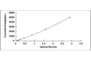 Typical standard curve (ABCA7 ELISA Kit)