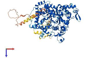 AMPD3 Protein (AA 1-767) (His tag)