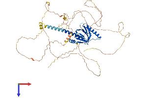 DAB1 Protein (AA 1-588) (His tag)