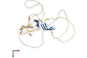 GTF2A1L Protein (AA 1-478) (His tag)