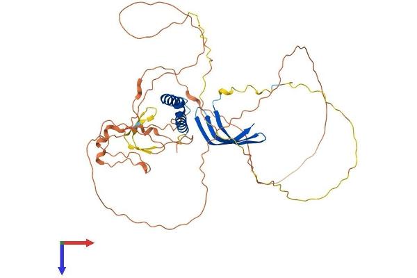 GTF2A1L Protein (AA 1-478) (His tag)