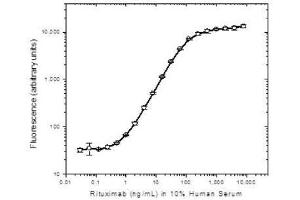 Detection of Rituximab spiked into 10% human serum by sandwich ELISA. (Rituximab Antikörper)