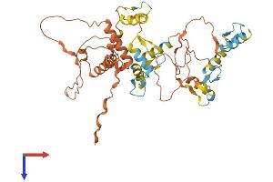 ZNF597 Protein (AA 1-424) (His tag)