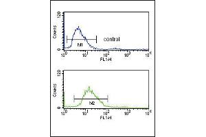 Flow Cytometry (FACS) image for anti-serpin Peptidase Inhibitor, Clade F (Alpha-2 Antiplasmin, Pigment Epithelium Derived Factor), Member 1 (SERPINF1) (AA 9-36), (N-Term) antibody (ABIN391482)