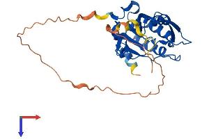 CTDSPL Protein (AA 1-276) (His tag)
