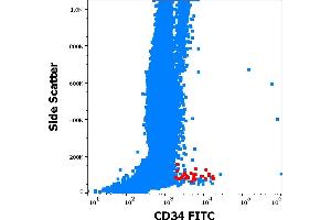 Flow cytometry surface staining pattern of human peripheral whole blood showing CD34 positive stem cells (red) stained using anti-human CD34 (QBEnd-10) FITC antibody (20 μL reagent / 100 μL of peripheral whole blood). (CD34 Antikörper  (FITC))