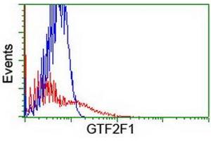 HEK293T cells transfected with either RC201294 overexpress plasmid (Red) or empty vector control plasmid (Blue) were immunostained by anti-GTF2F1 antibody (ABIN2455071), and then analyzed by flow cytometry. (GTF2F1 Antikörper)