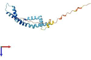 BOD1 Protein (AA 1-173) (His tag)
