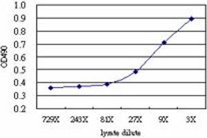 Sandwich ELISA detection sensitivity ranging from approximately 27x to 3x dilution of the ELK3 293T overexpression lysate (non-denatured).