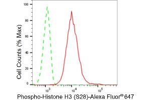 Flow cytometric analysis of Phospho-Histone H3 (S28) expression in C2C12 cells using Phospho-Histone H3 (S28) antibody (ABIN7798976), 1:2,000). (Rekombinanter Histone 3 Antikörper  (H3S28ph))